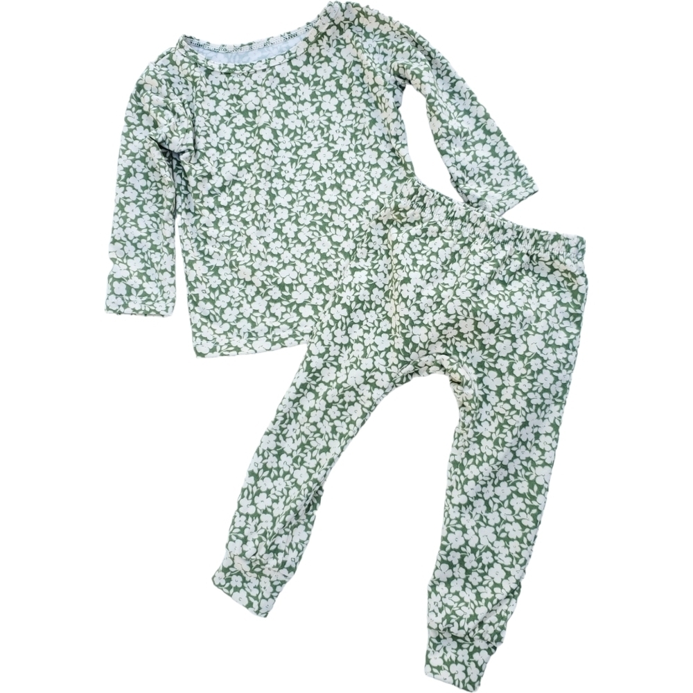 Cozys 2 Piece Pajama Set Top & Bottoms Green Floral Baby Girls 3-6 Months